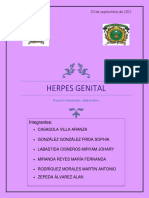 Herpes Genital Programacion y Computo 1.2