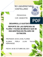 2.7 Reporte Escrito