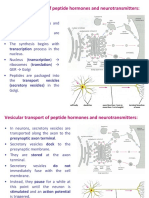 Cell Membrane Potential