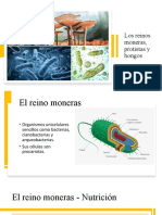 1 - Reinos Monera Protista y Hongos