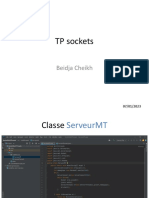 TP Sockets1
