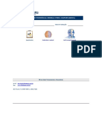 Teste Perfil Comportamental e Preferencia Cerebral em Excel