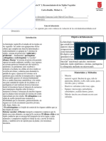 Informe Histologia Vegetal