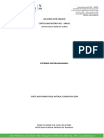 RELATÓRIO E PRE PROJETO - Modelo (Word)