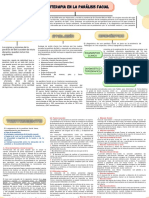 Mapa Conceptual de Fisoterapia en La Paralisis Facial Danissa Pinedo 2ciclo