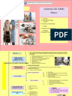 Asistencia Del Adulto Mayor