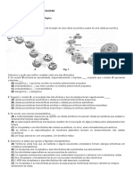 Ficha de Trabalho - Evolução Biológica