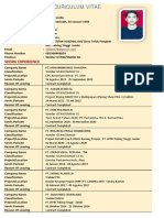 Contoh Curiculum Vita Model Excel