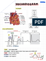 ECG Notes