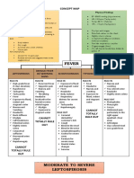 IM - Leptospirosis Concept Map