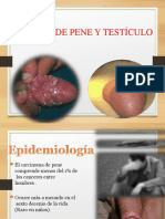 Cancer Pene y Testículo