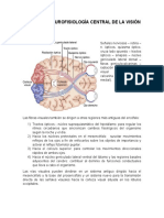 Resumen 6. Capitulo 52. NEUROFISIOLOGÍA CENTRAL DE LA VISIÓN