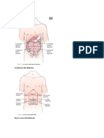 Abdomen y Genitourinario