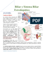 Vesícula Biliar y Sistema Biliar Extrahepático MEJORADO