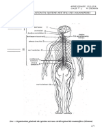 1 Support Lecon 1 Organisation Du Systeme Nerveux
