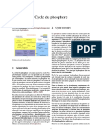 Cycle Du Phosphore Wikipedia FR