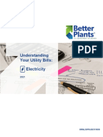 BP Understanding Your Utility Bill - Electricity - FINAL