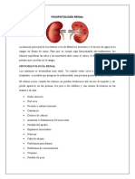 Fisiopatología Renal