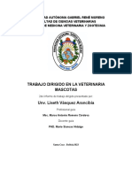 INFORME TRABAJO DIRIGIDOactual