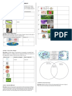 Animal and Plant Celss Worksheet