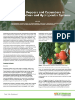 Tomatoes, Peppers and Cucumbers in Small-Scale Soilless and Hydroponics Systems