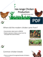 5 Free Range Chicken