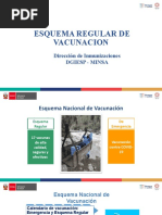 Esquema Regular