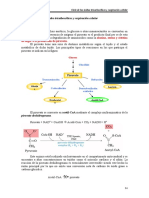 Acido Tricaboxilico