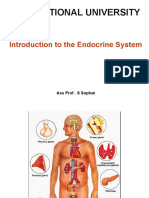 Introduction To The Endocrine System