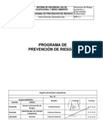 Programa Prevencion de Riesgos