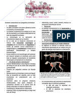 Modulo 10 - Terapia Fisica y Rehabilitación