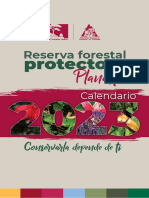 CALENDARIo