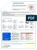 Endometriosis + Adenomiosis