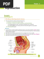 Xamidea Human Reproduction