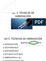 UD5 Técnicas de Hibridación