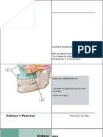 Livro - Flash Cards Anatomia NETTER