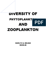 Diversity of Phytoplankton and Zooplankton (Beldad)