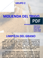 Molienda Del Trigo