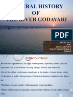 The River Godavari