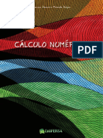 Caderno Didatico Calculo Numerico