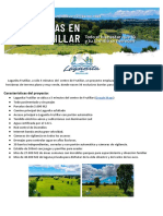 Lagunita Frutillar Precios Noviembre 2020