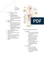 Gastrointestinal System