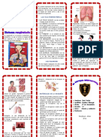 Idoc - Pub Triptico Sistema Respiratorio