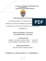 Auditoria Externa Documento Final para La Terna