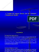 Trámite Del Amparo Directo Ante Los Tribunales Colegiados de Circuito