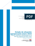 INTA JUNIN: Estado de Situación Agropecuaria Enero 2023