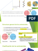 Clase 6 - Proteínas y Ácidos Nucleicos