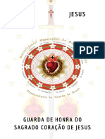 Guarda de Honra-7