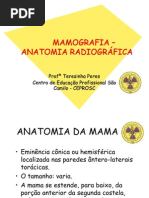 Anatomia Mama