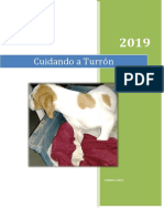 Educacion Perro